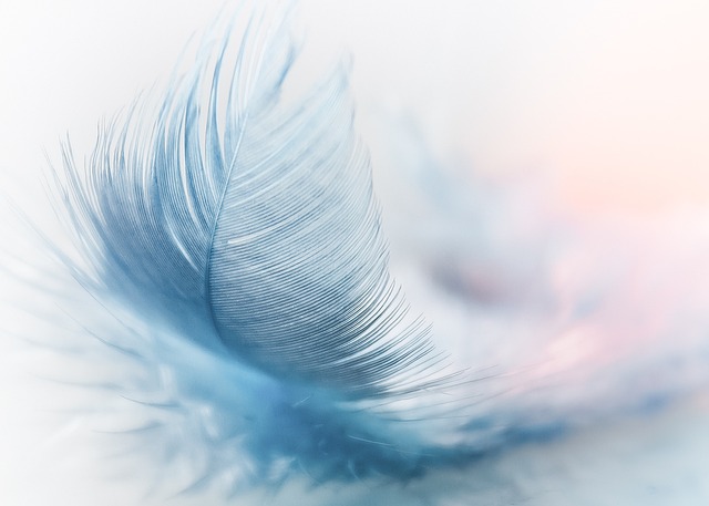 What does the black and white feather mean in the Bible?