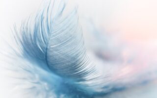 What does it mean when a feather passes you?
