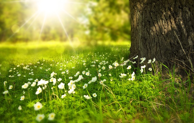 What does it mean when you see a white feather in heaven?