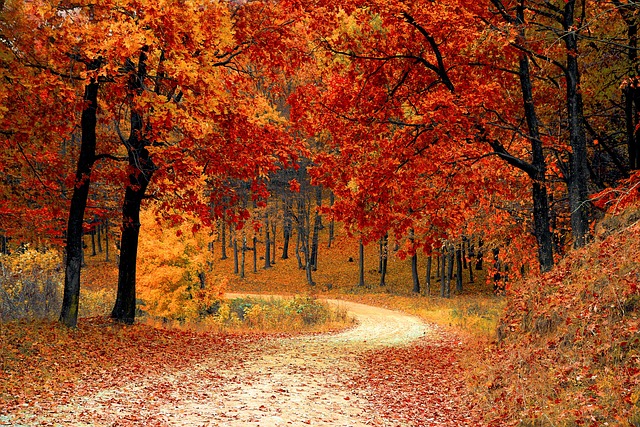 Biblical Meaning of the Name Autumn