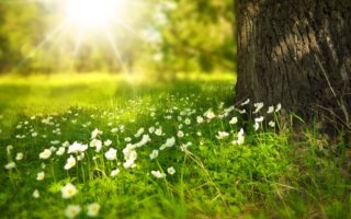 What does it mean when you see a white feather in heaven?