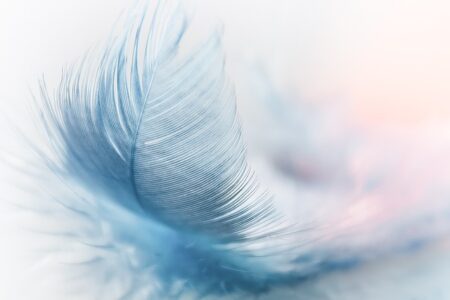 What does the black and white feather mean in the Bible?