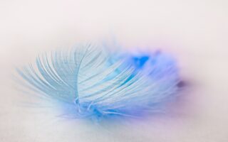 What does a feather mean spiritually?