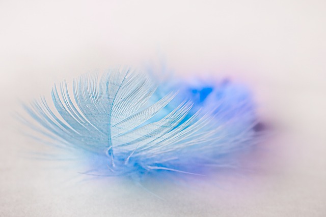 What does it mean when a feather passes you?