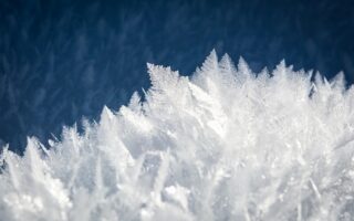 Can I Freeze Amish Friendship Bread?