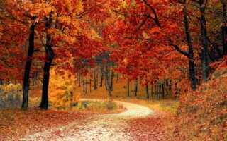 Biblical Meaning of the Name Autumn