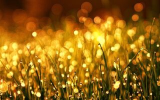 What is the golden halo in Christianity?