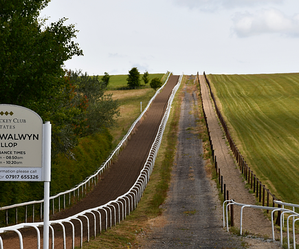 Meaning of the name Walwyn (General and Biblical)