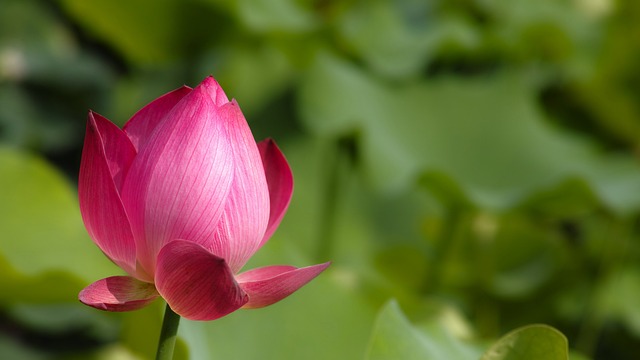 Meaning of the name Divinity (General and Biblical)