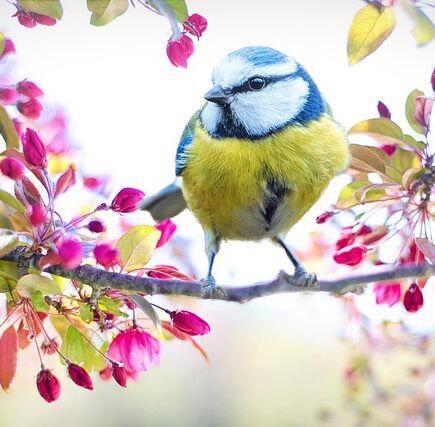 Meaning of the name Spring (General and Biblical)