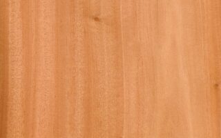 Meaning of the name Mahogany (General and Biblical)