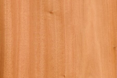 Meaning of the name Mahogany (General and Biblical)