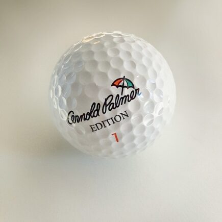 Meaning of the name Palmer (General and Biblical)