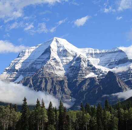 Meaning of the name Robson (General and Biblical)