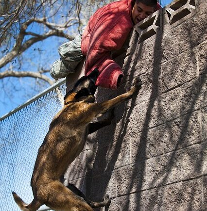 Meaning of the name Nellie (General and Biblical)