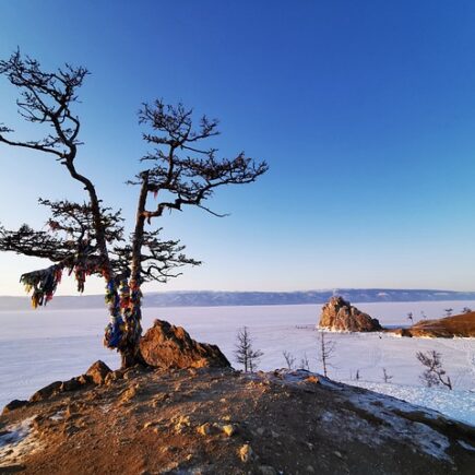 Meaning of the name Sharman (General and Biblical)