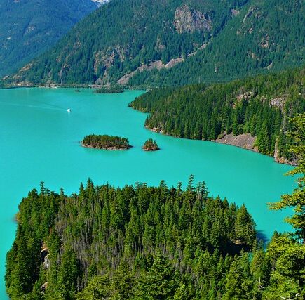 Meaning of the name Ross (General and Biblical)