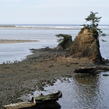 Meaning of the name Taft (General and Biblical)