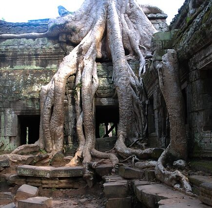 Meaning of the name Wat (General and Biblical)