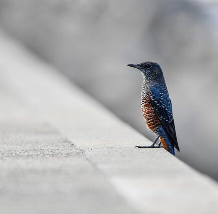 Meaning of the name Unten (General and Biblical)