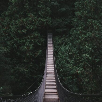 Meaning of the name Lynn (General and Biblical)