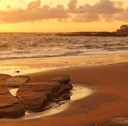 Meaning of the name Whitley (General and Biblical)