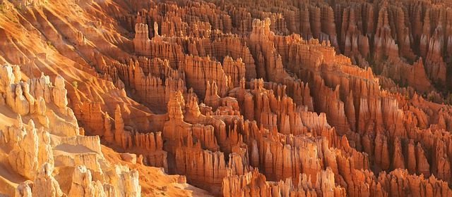Meaning of the name Bryce (General and Biblical)