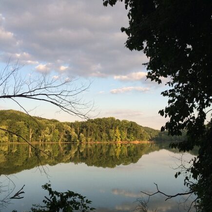 Meaning of the name Radnor (General and Biblical)