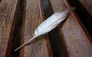 What The Bible Says About Self-Pity