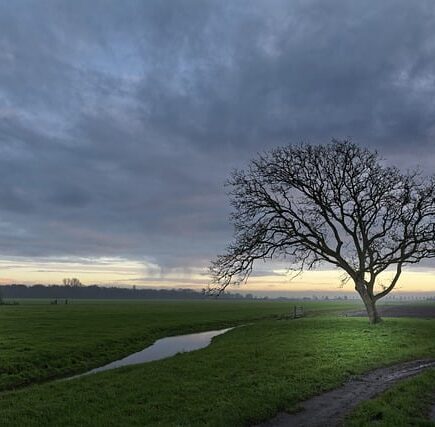 Meaning of the name Vala (General and Biblical)