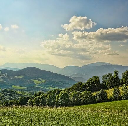 Meaning of the name Sunny (General and Biblical)