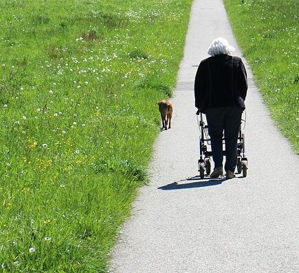 Meaning of the name Walker (General and Biblical)