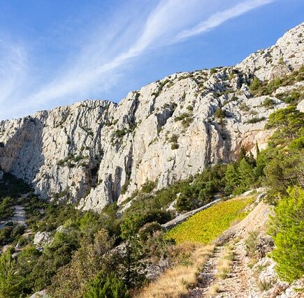 Meaning of the name Nikole (General and Biblical)