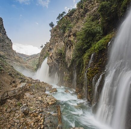 Meaning of the name Quella (General and Biblical)