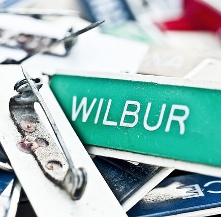 Meaning of the name Vinson (General and Biblical)