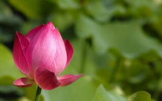 Meaning of the name Divinity (General and Biblical)