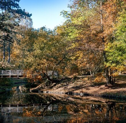 Meaning of the name Waller (General and Biblical)