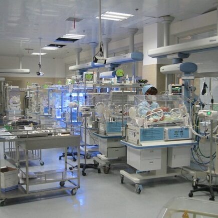 Meaning of the name Ward (General and Biblical)