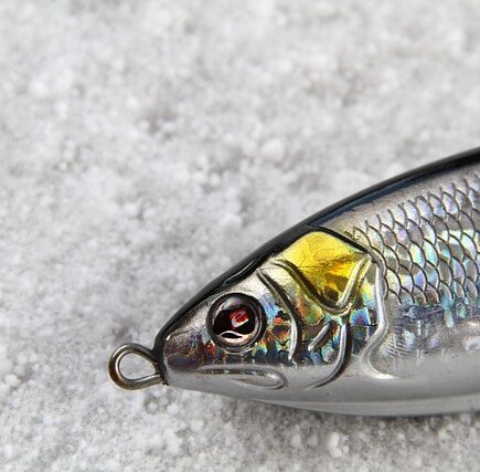 Meaning of the name Sebille (General and Biblical)