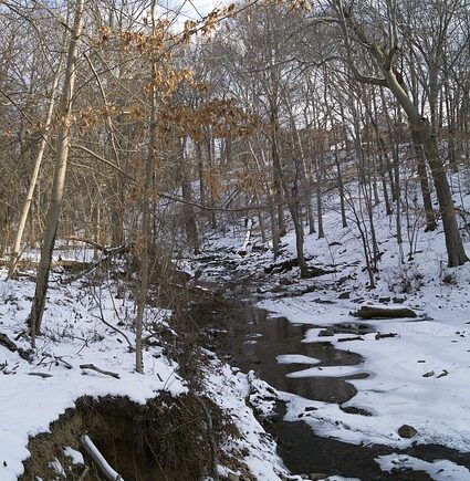 Meaning of the name Waverly (General and Biblical)