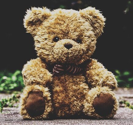 Meaning of the name Teddi (General and Biblical)