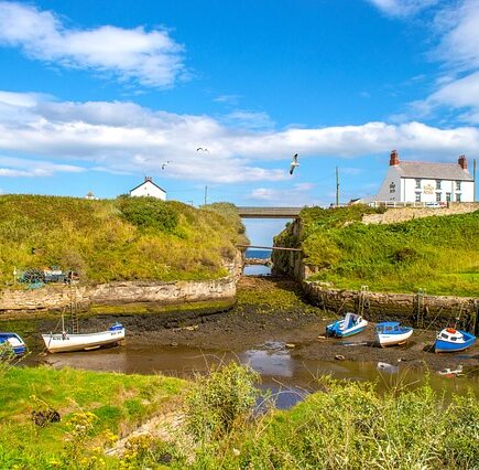 Meaning of the name Seaton (General and Biblical)