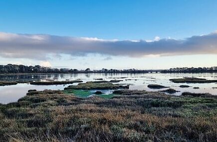 Meaning of the name Upton (General and Biblical)