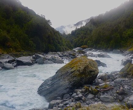 Meaning of the name Whitcomb (General and Biblical)