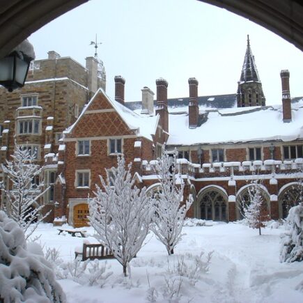 Meaning of the name Yale (General and Biblical)