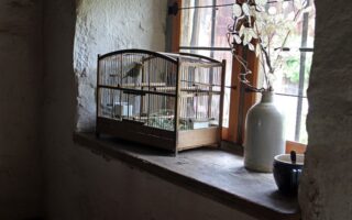 Meaning of the name Cage (General and Biblical)