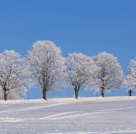 Meaning of the name Winter (General and Biblical)