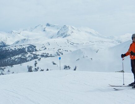 Meaning of the name Whistler (General and Biblical)