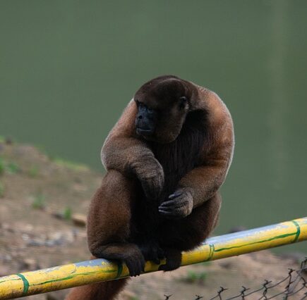 Meaning of the name Tena (General and Biblical)