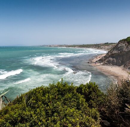 Meaning of the name Taya (General and Biblical)